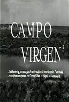 Campo virgen