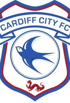 Cardiff City Season Review 2012-2013