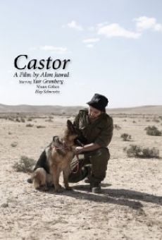 Castor on-line gratuito