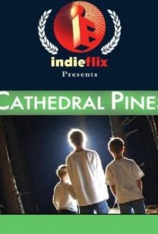 Película: Cathedral Pines