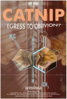 Catnip: Egress to Oblivion? on-line gratuito
