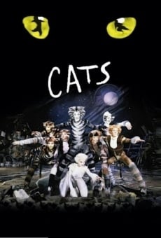 Great performances: Cats on-line gratuito