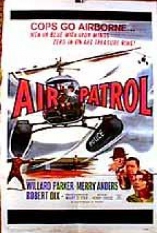 Air Patrol online