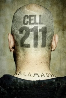 Cellule 211