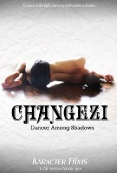 Changezi, Dancer Among Shadows (2014)
