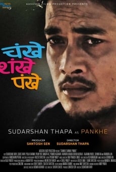 Película: Chankhe Shankhe Pankhe