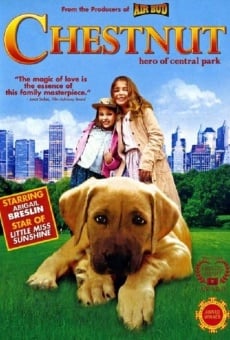 Chestnut: Hero of Central Park, película en español