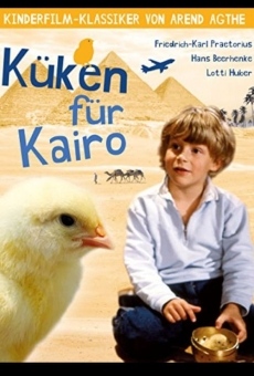 Película: Chicken for Cairo