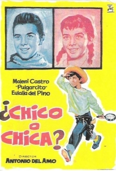 ¿Chico o chica? online streaming