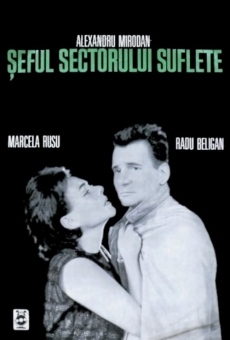 Seful sectorului suflete (1967)