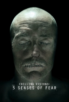 Chilling Visions: 5 Senses of Fear (2013)