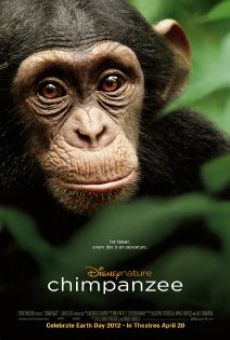 Película: Chimpancé