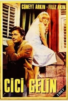 Cici Gelin online