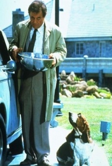 Columbo: It's All in the Game on-line gratuito