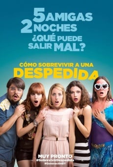 Cómo sobrevivir a una despedida (2015)