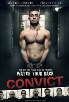 Convict (2014)