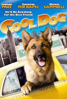 Cool Dog - Rin Tin Tin a New York online streaming
