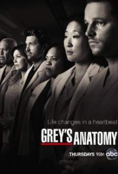 Grey's Anatomy online streaming