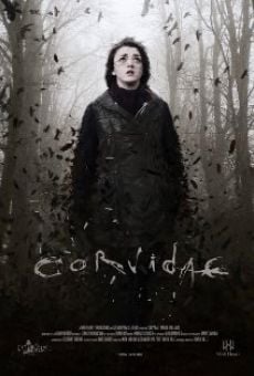 Corvidae (2018)