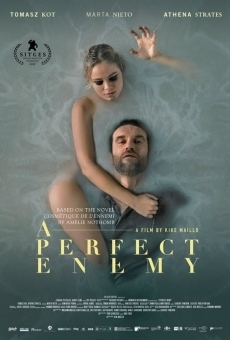 A Perfect Enemy online streaming