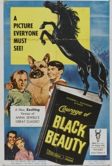 Courage of Black Beauty on-line gratuito