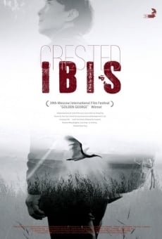 Película: Crested Ibis