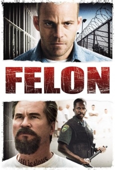 Felon - Il colpevole online streaming