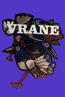 Vrane Online Free
