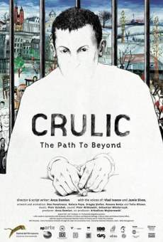 Película: Crulic - The Path to Beyond