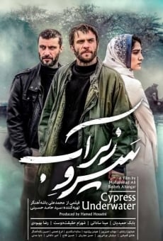 Película: Cypress Under Water
