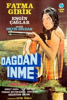 Dagdan inme (1973)