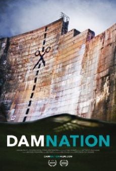 Película: DamNation