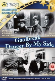 Danger by My Side online streaming