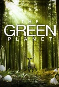 Película: Das grüne Wunder - Unser Wald