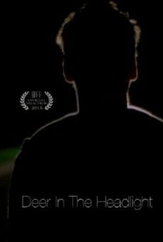 Deer in the Headlight (2015)