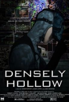 Densely Hollow (2013)