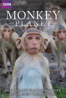Película: Descubriendo a los monos