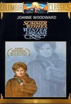 Summer Wishes, Winter Dreams online streaming