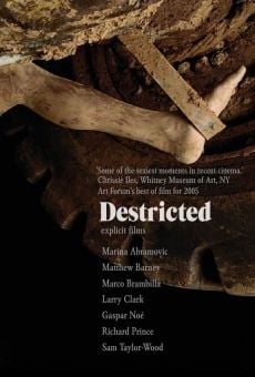 Destricted (2006)