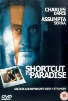 Desvío al paraíso (1994)