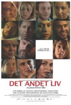 Det andet liv (2013)