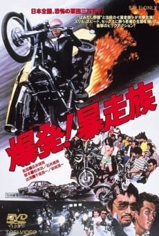 Bakuhatsu! Boso zoku (1975)