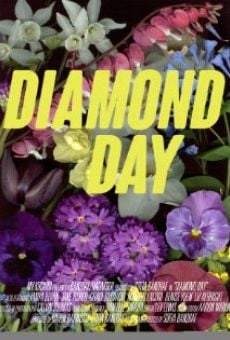 Diamond Day (2015)