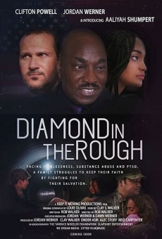 Diamond in the Rough online streaming