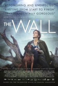Película: Die Wand