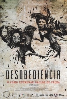 Película: Disobedience or How to Train Fighting Roosters