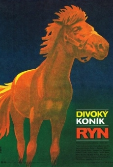 Divoký koník Ryn gratis