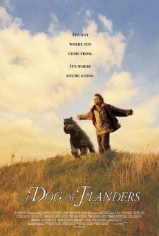 Película: Dog of Flanders