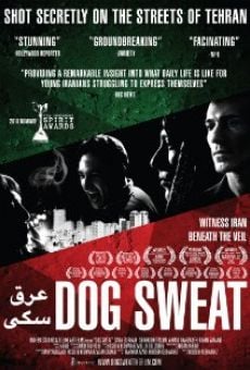 Dog Sweat