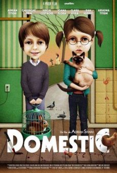 Película: Doméstico